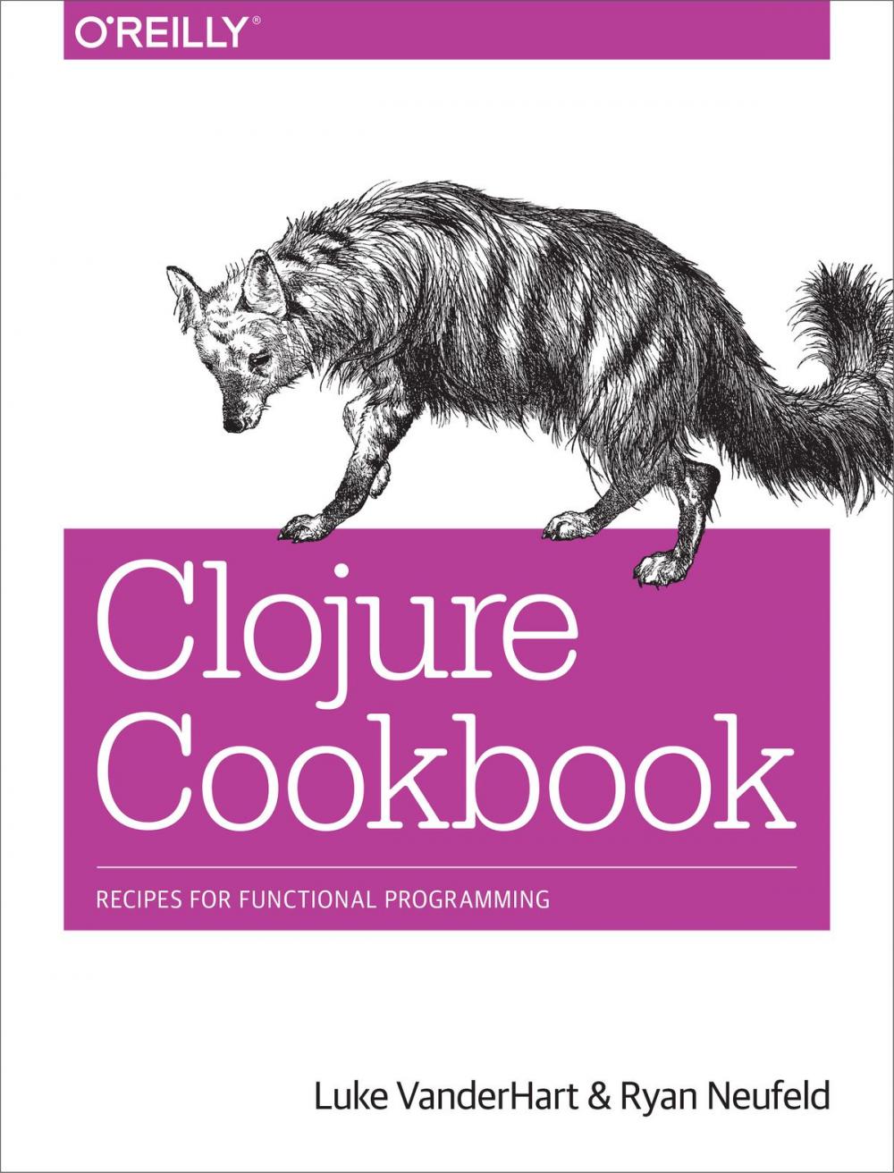 Big bigCover of Clojure Cookbook