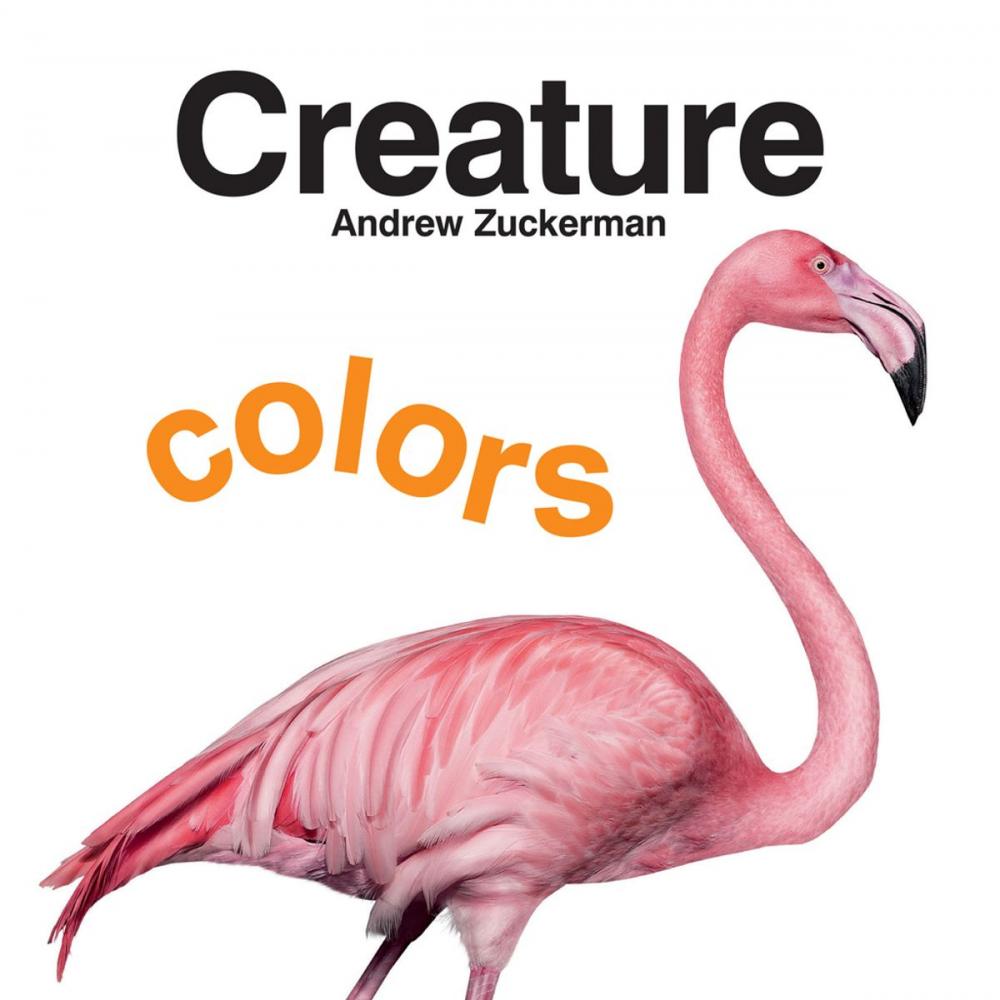 Big bigCover of Creature Colors