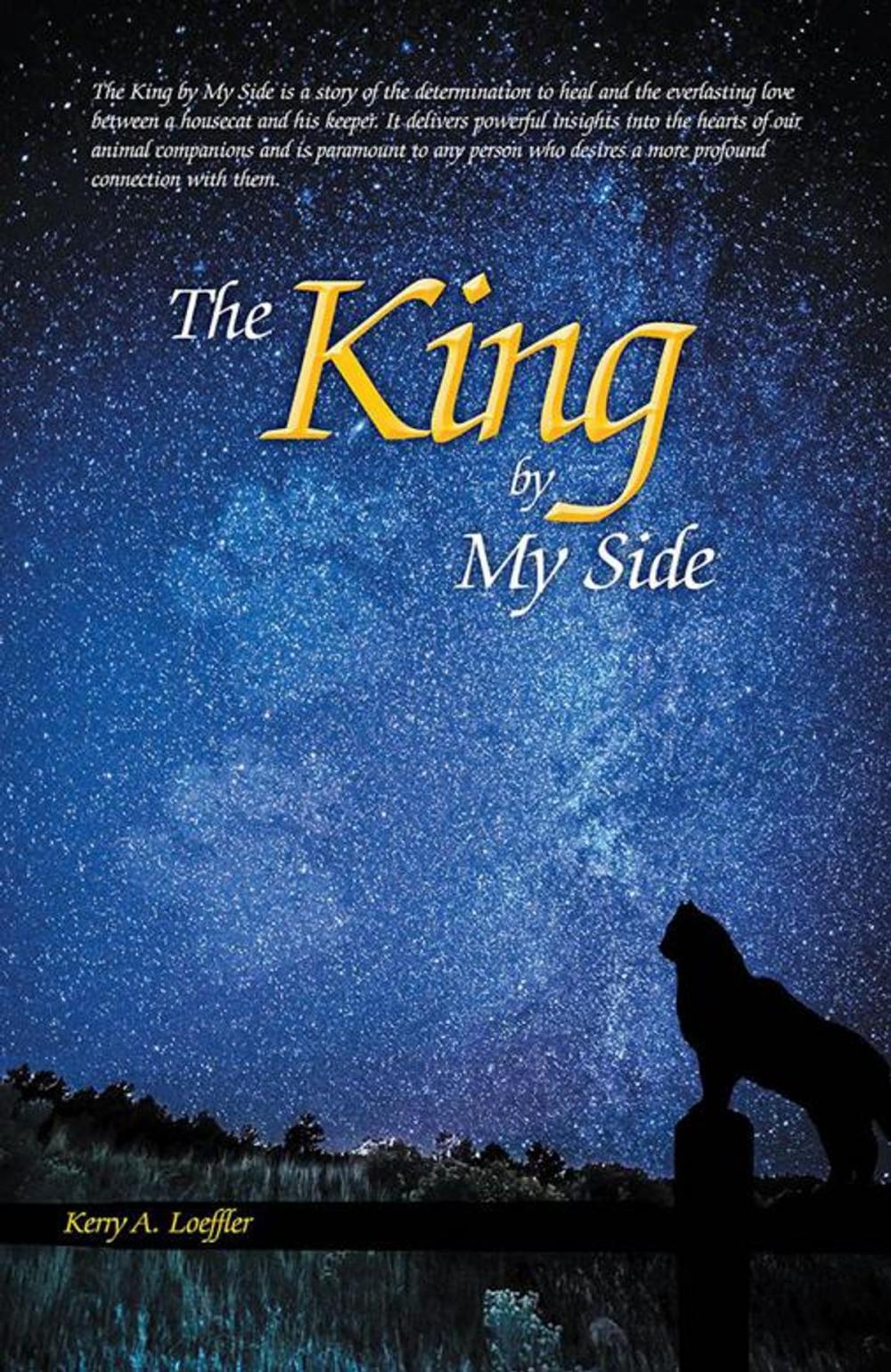 Big bigCover of The King by My Side