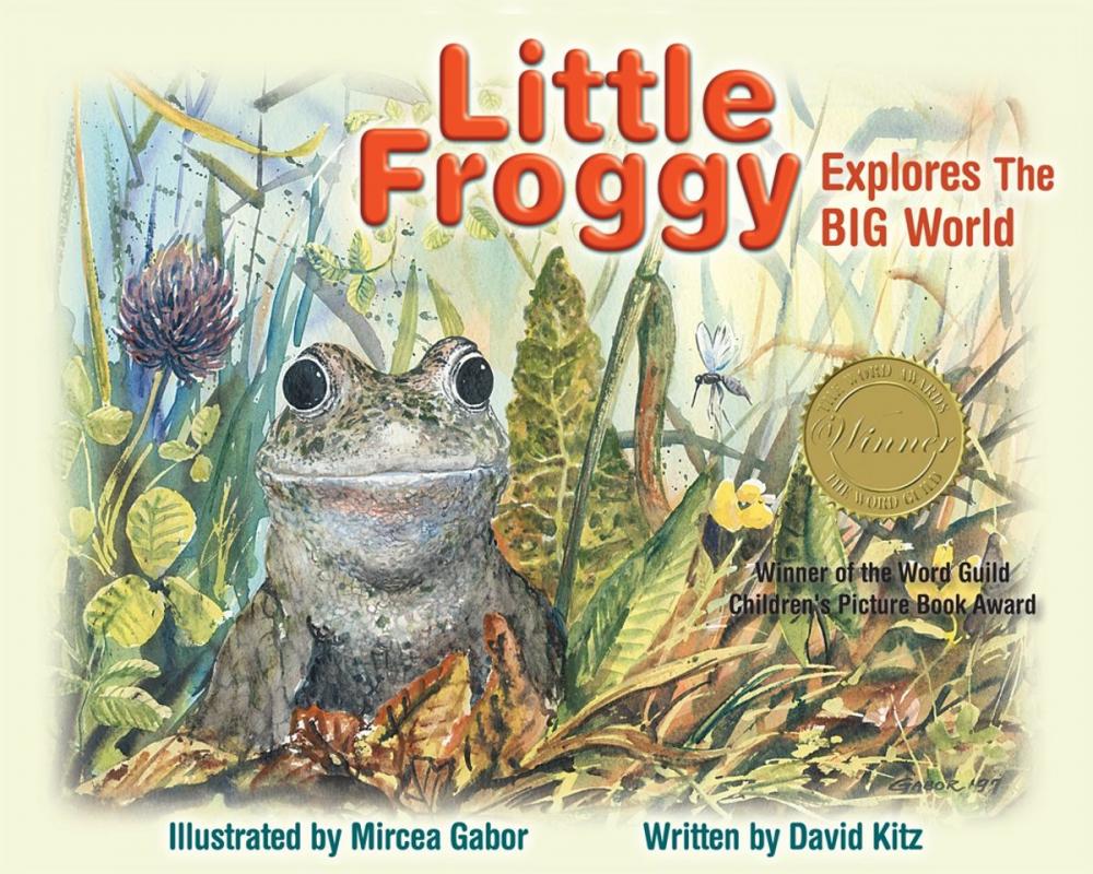 Big bigCover of Little Froggy Explores the Big World