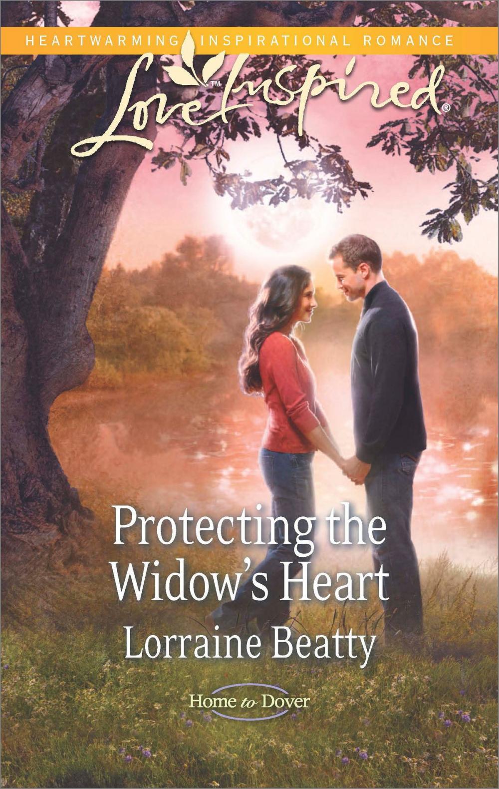 Big bigCover of Protecting the Widow's Heart