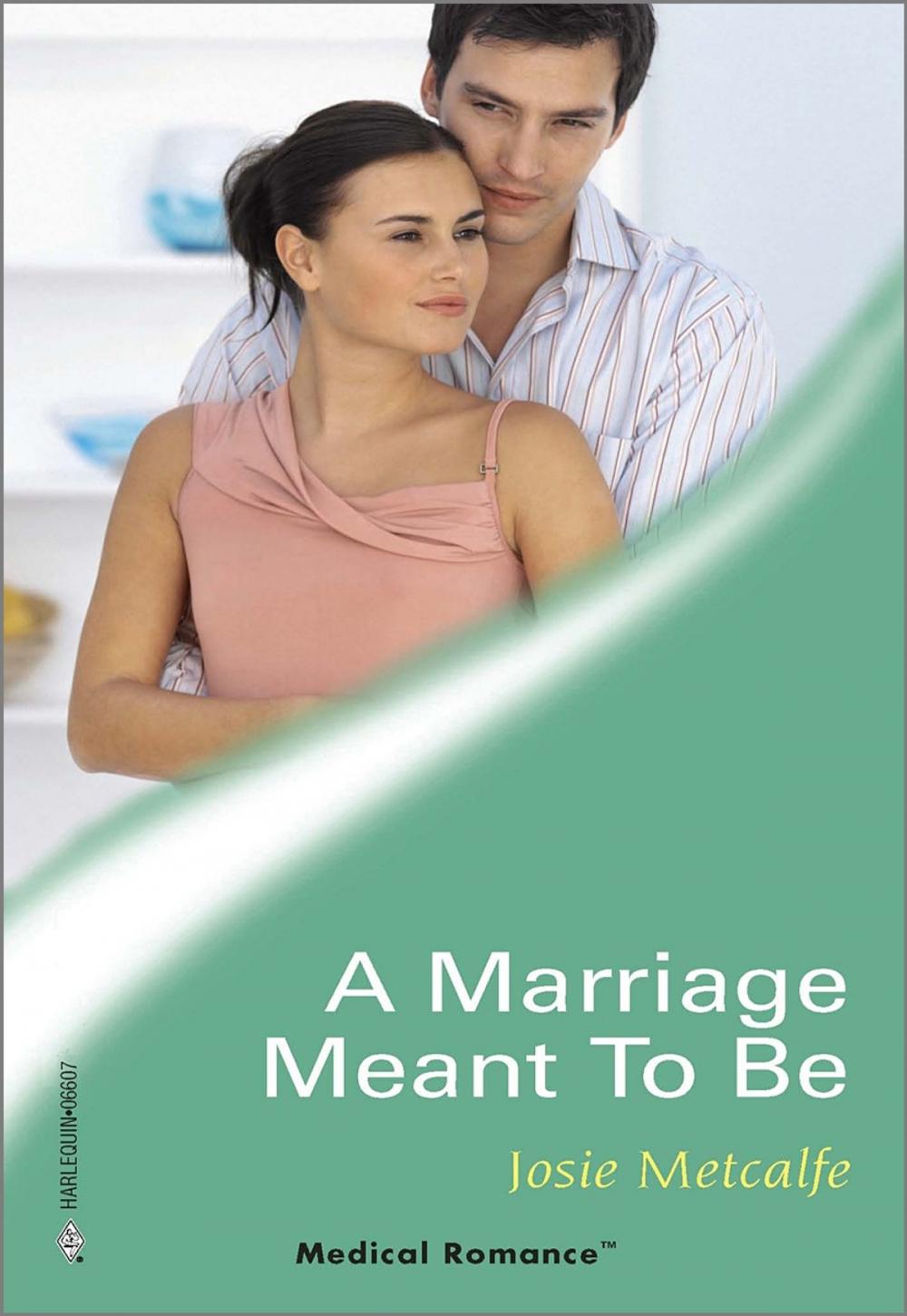 Big bigCover of A Marriage Meant To Be