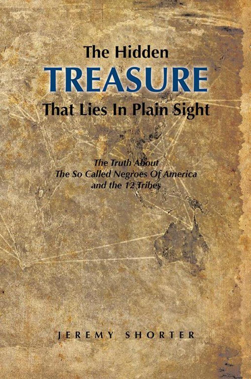 Big bigCover of The Hidden Treasure That Lies in Plain Sight