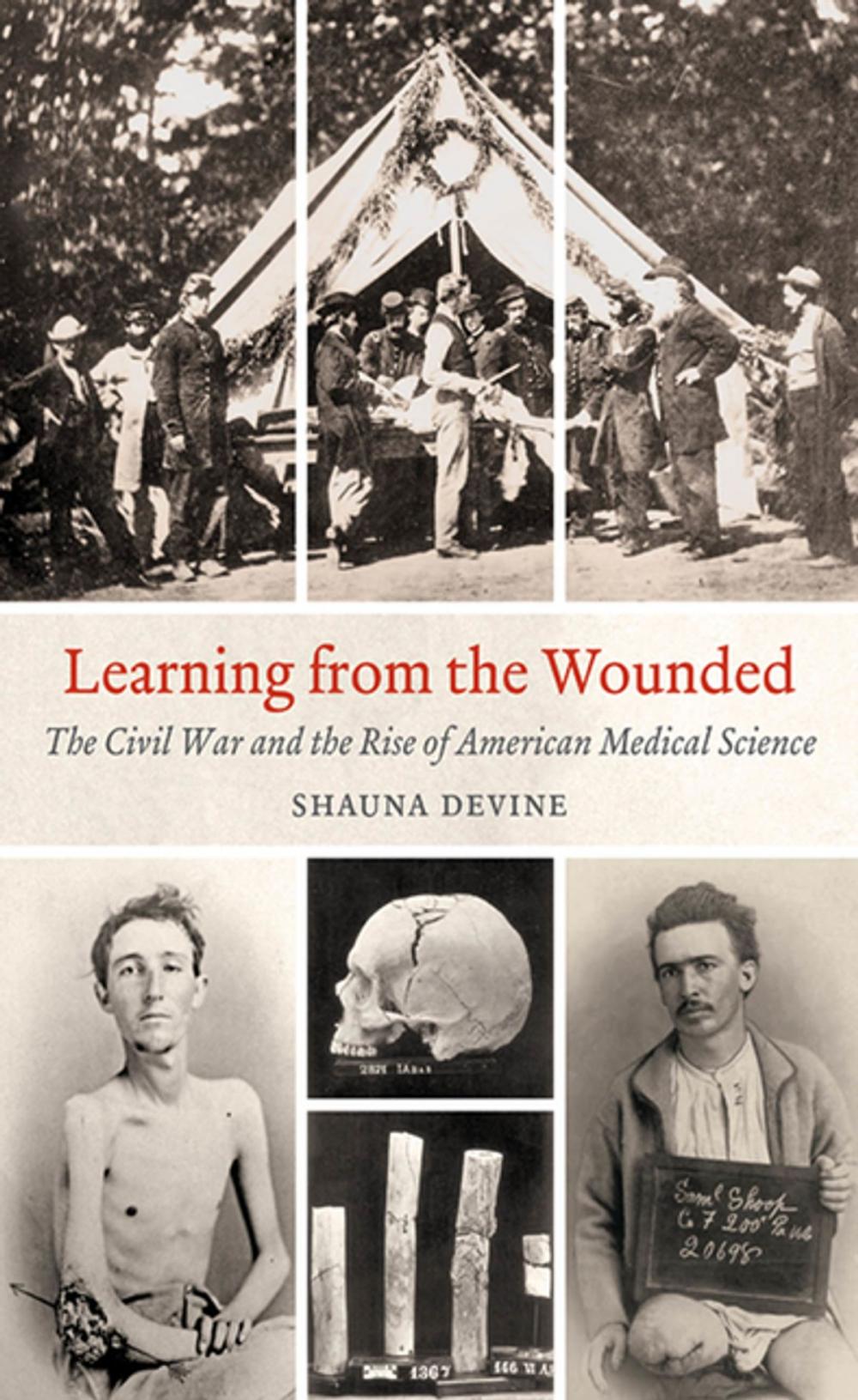 Big bigCover of Learning from the Wounded