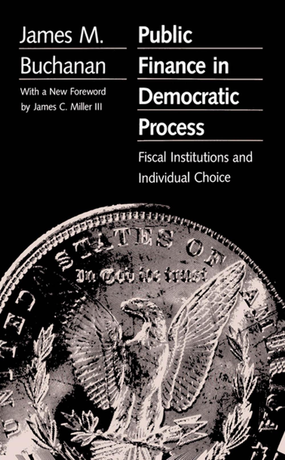 Big bigCover of Public Finance in Democratic Process