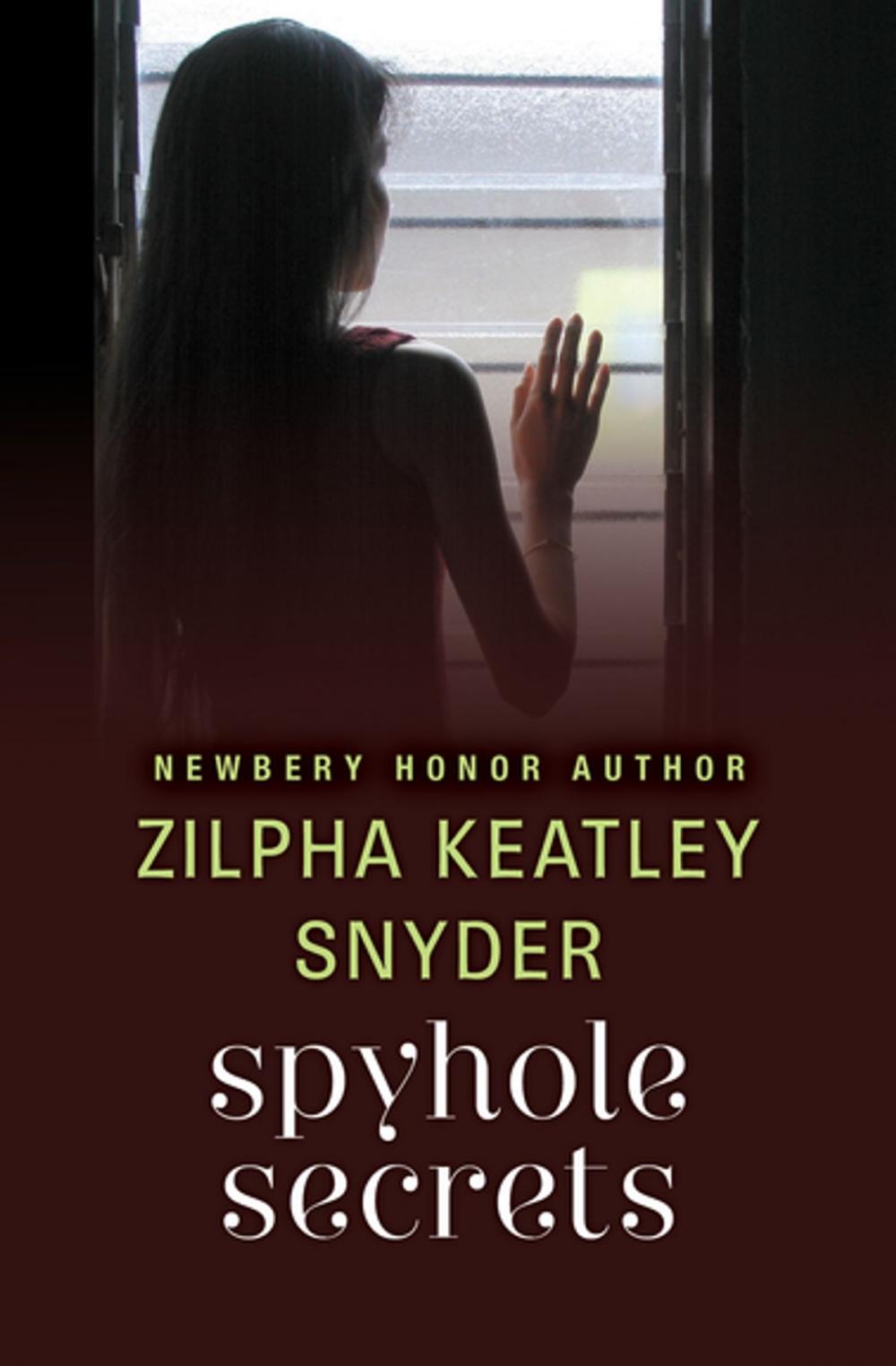 Big bigCover of Spyhole Secrets