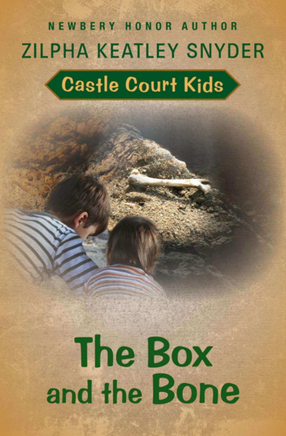 Big bigCover of The Box and the Bone