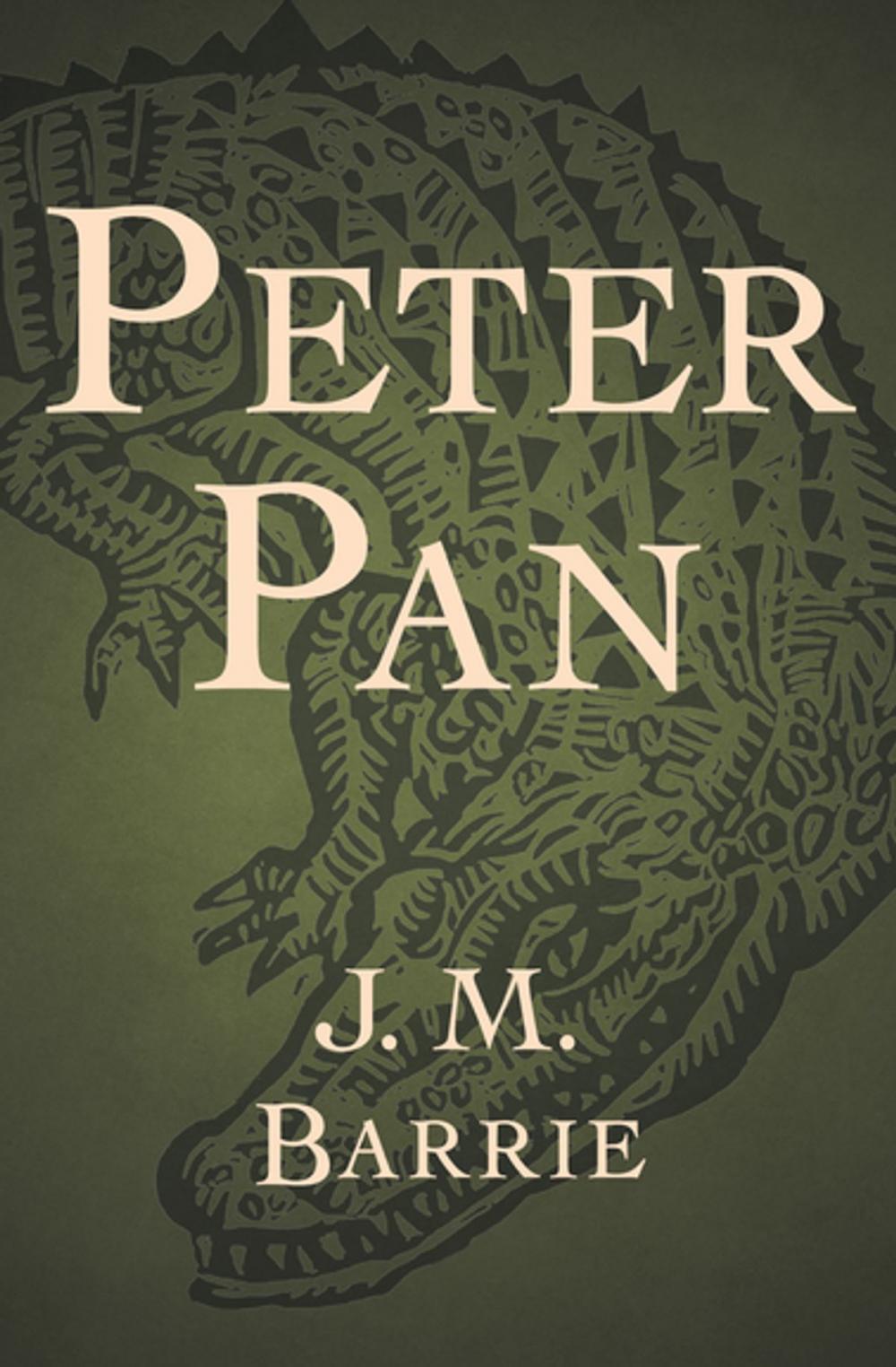 Big bigCover of Peter Pan