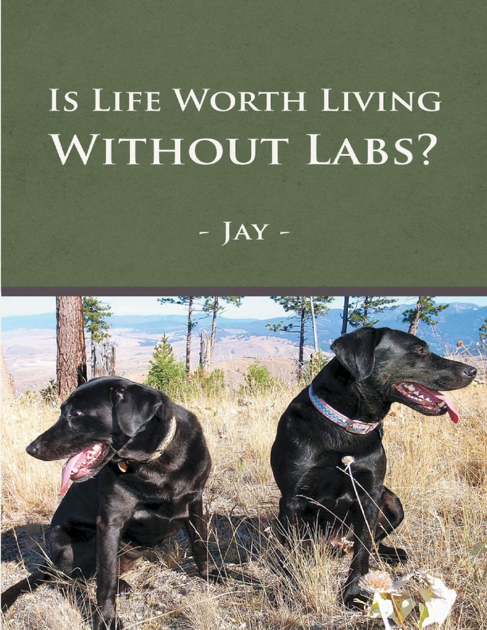 Big bigCover of Is Life Worth Living Without Labs?