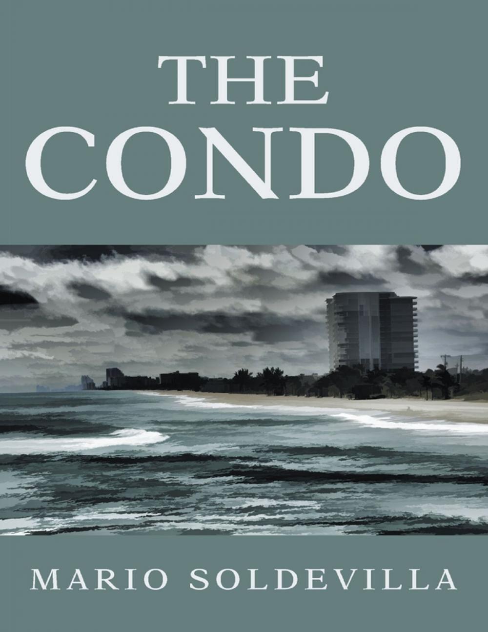 Big bigCover of The Condo