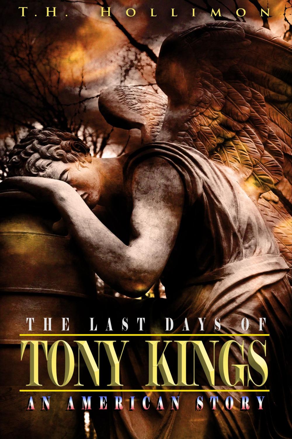 Big bigCover of The Last Days of Tony Kings : An American Story