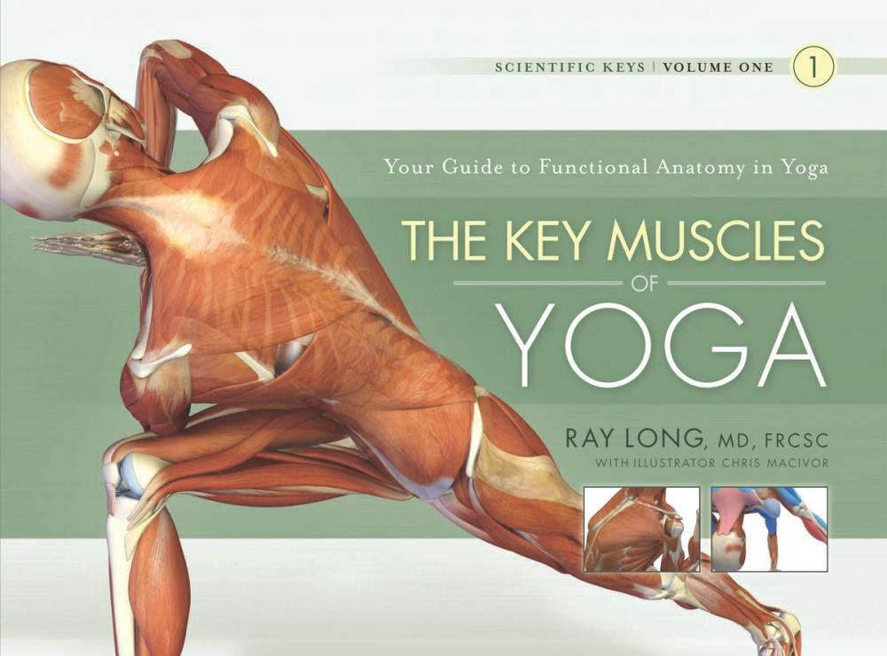 Big bigCover of The Key Muscles of Yoga