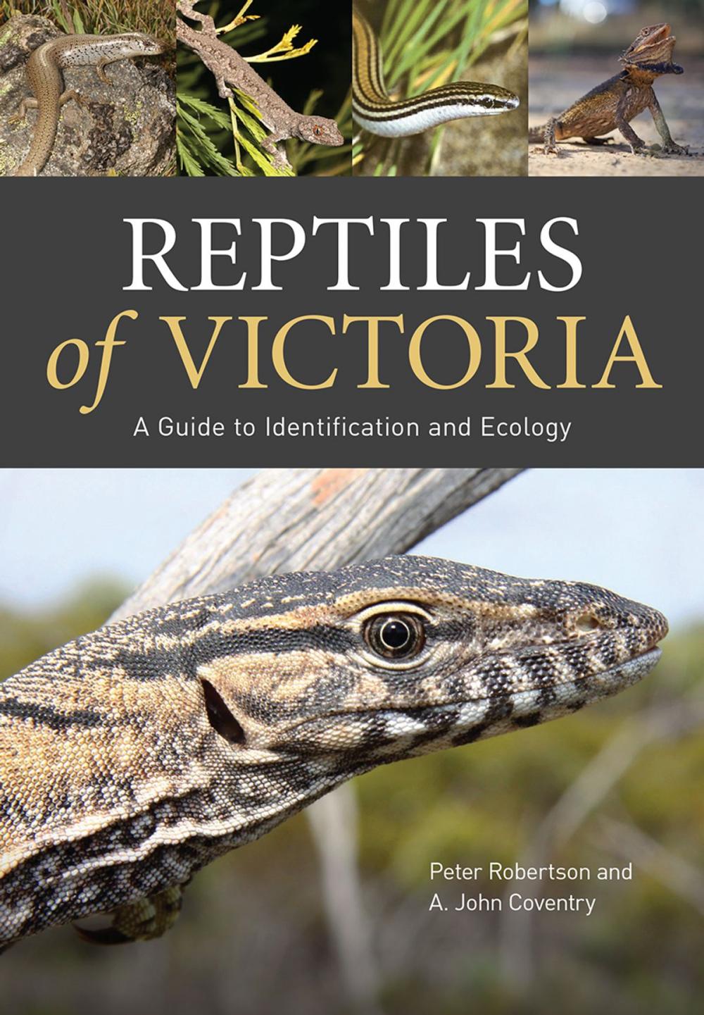 Big bigCover of Reptiles of Victoria