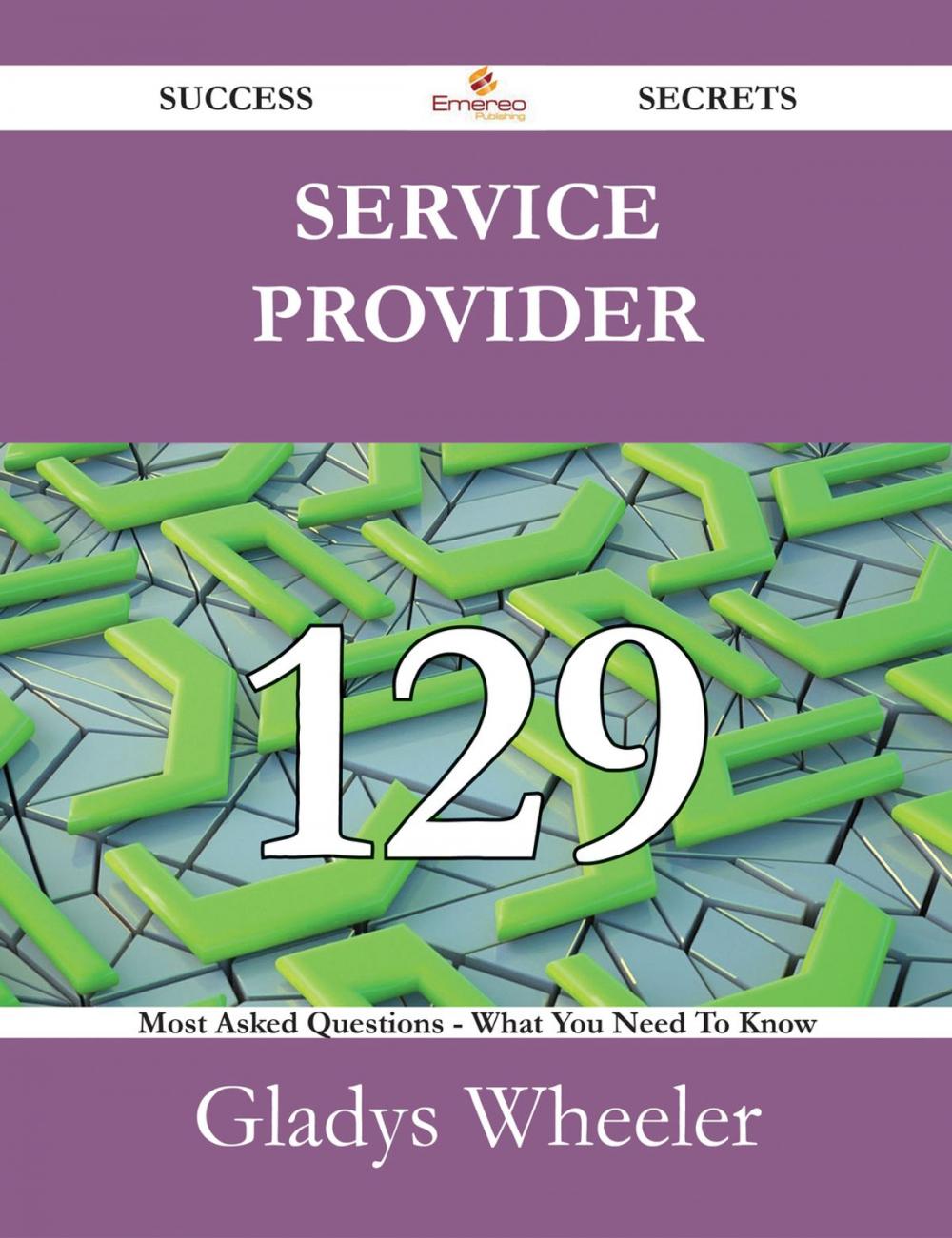 Big bigCover of Service Provider 129 Success Secrets - 129 Most Asked Questions On Service Provider - What You Need To Know