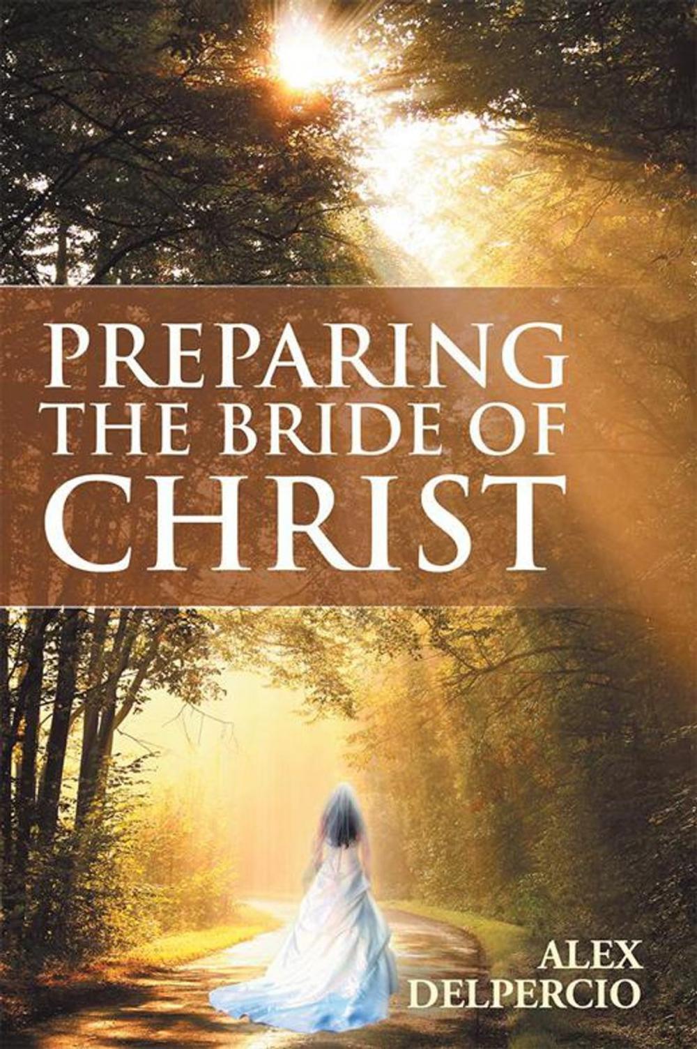 Big bigCover of Preparing the Bride of Christ