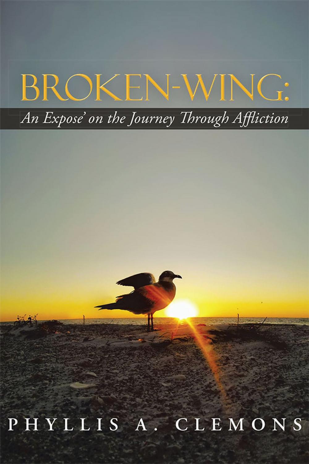 Big bigCover of Broken-Wing: an Expose' on the Journey Through Affliction