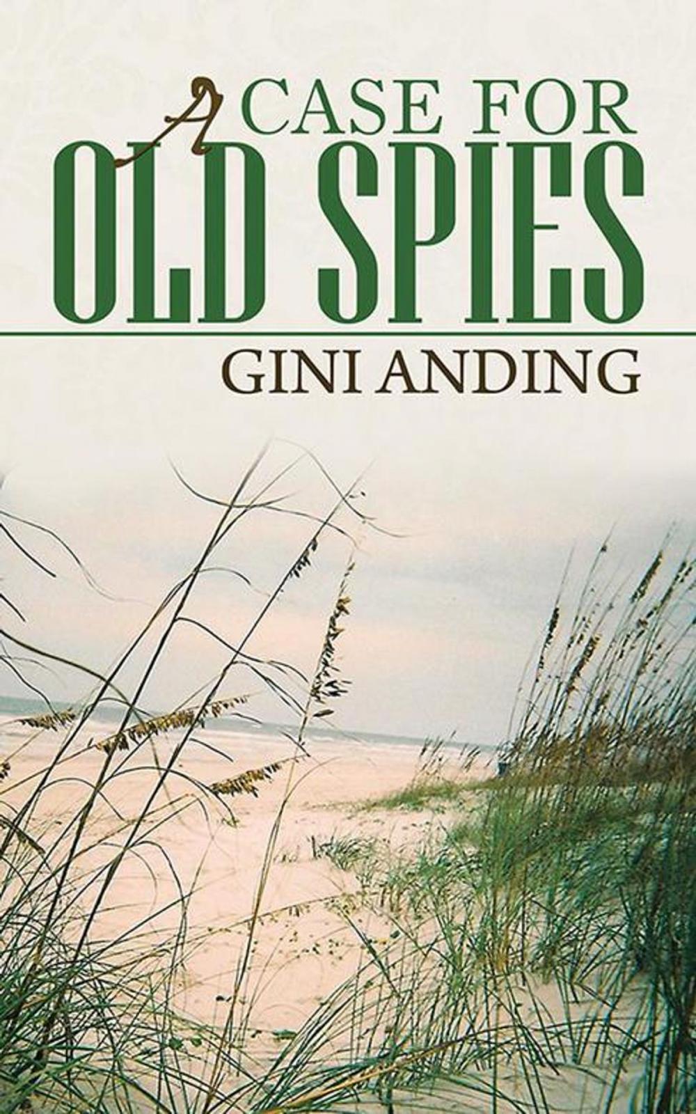 Big bigCover of A Case for Old Spies