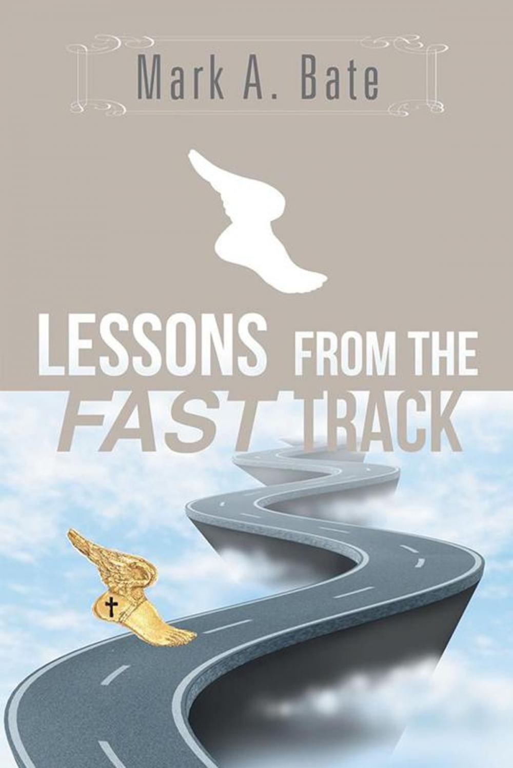 Big bigCover of Lessons from the Fast Track