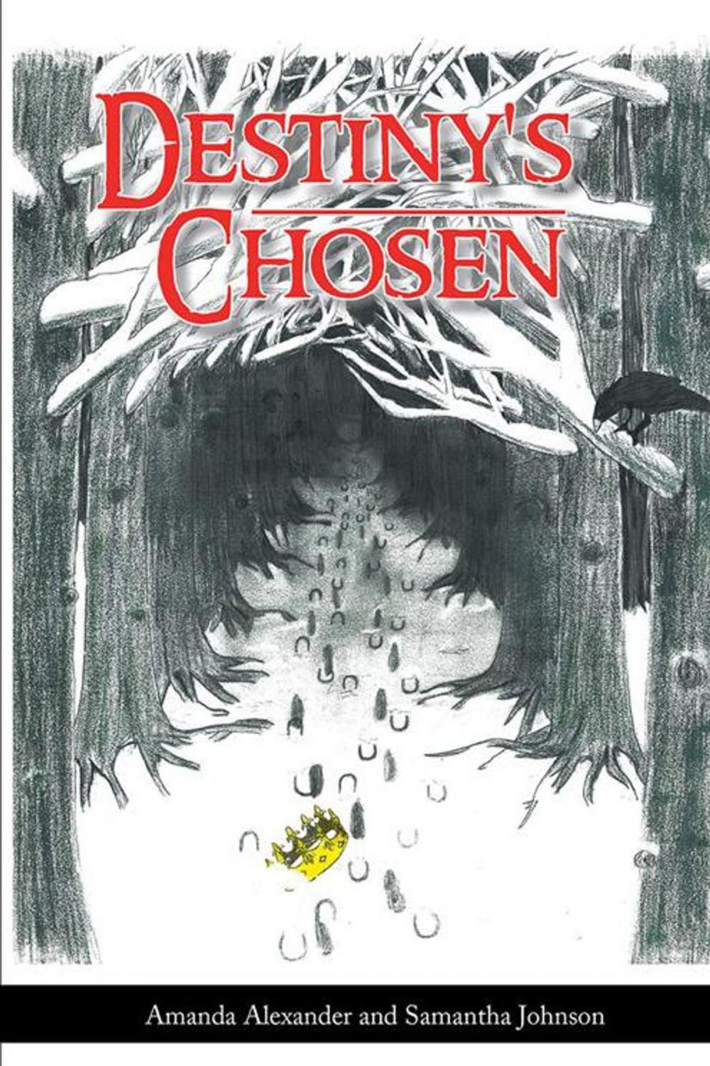 Big bigCover of Destiny's Chosen