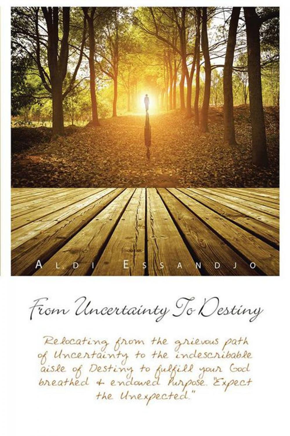 Big bigCover of From Uncertainty to Destiny