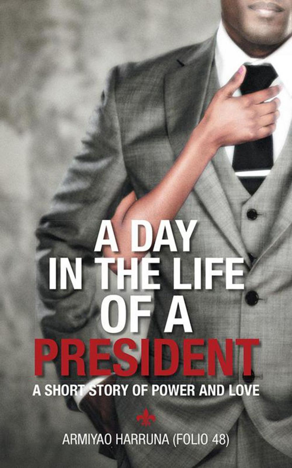 Big bigCover of A Day in the Life of a President