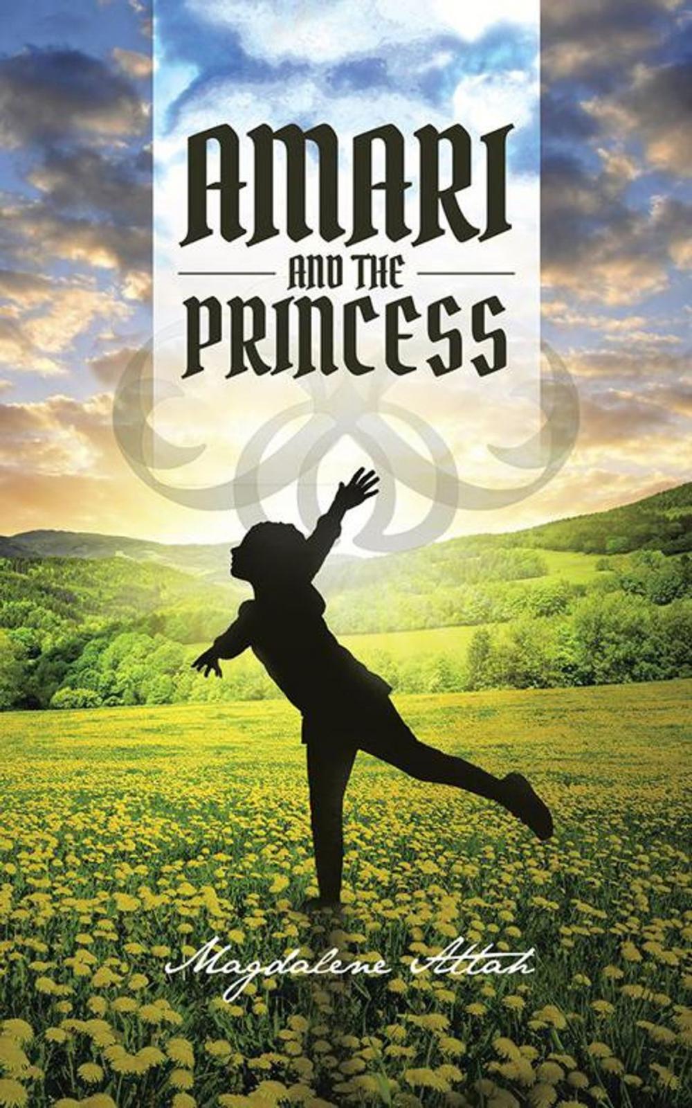 Big bigCover of Amari and the Princess