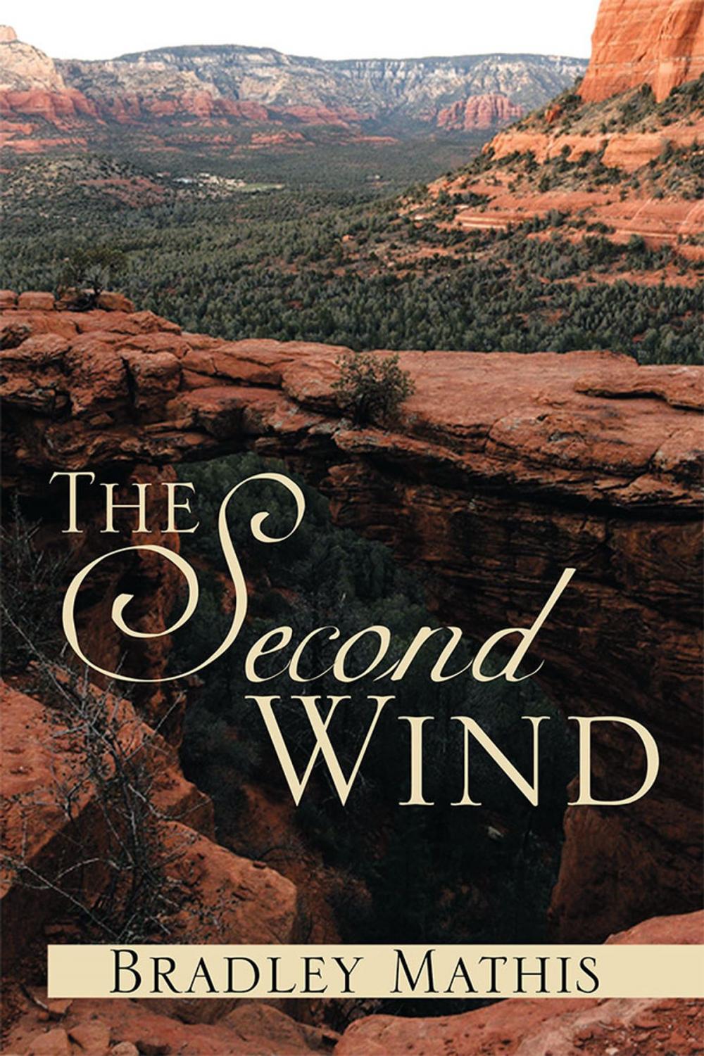 Big bigCover of The Second Wind