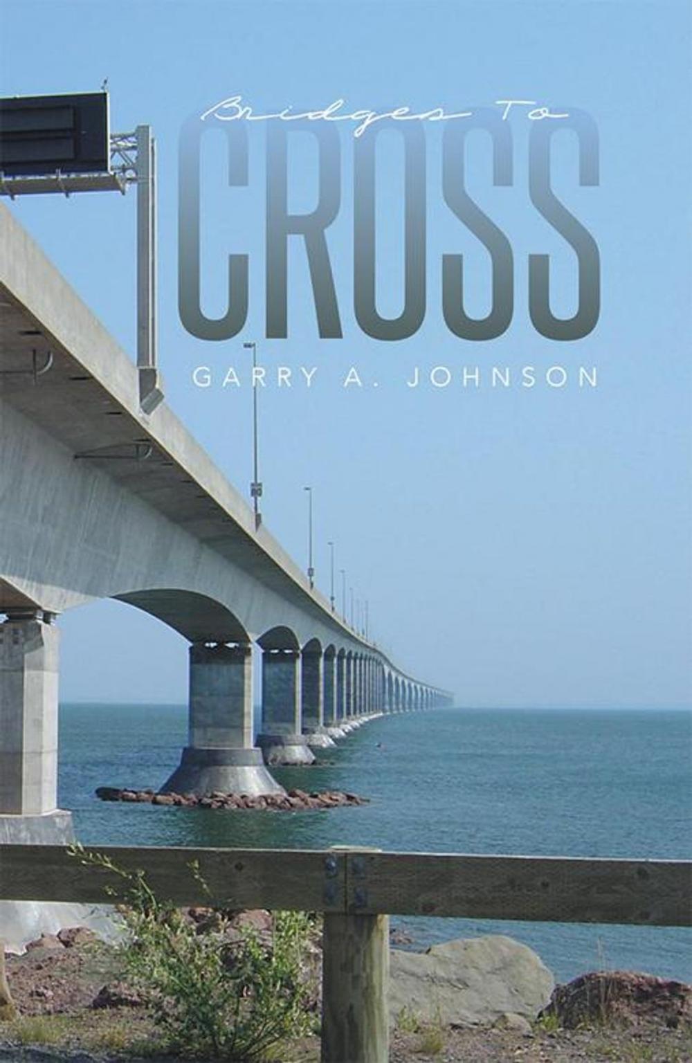 Big bigCover of Bridges to Cross