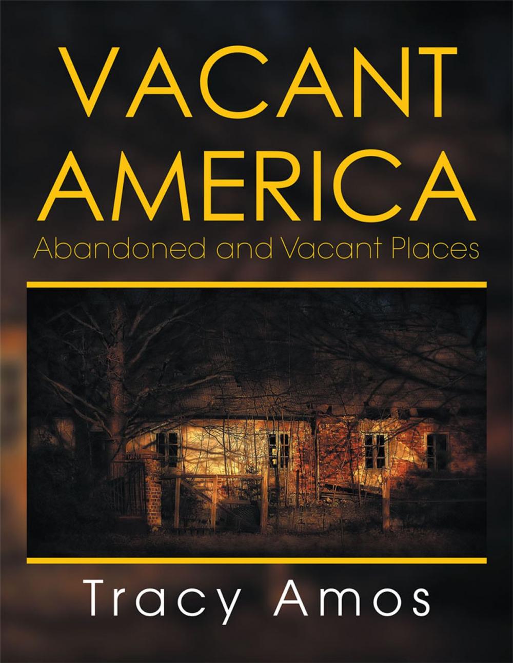 Big bigCover of Vacant America