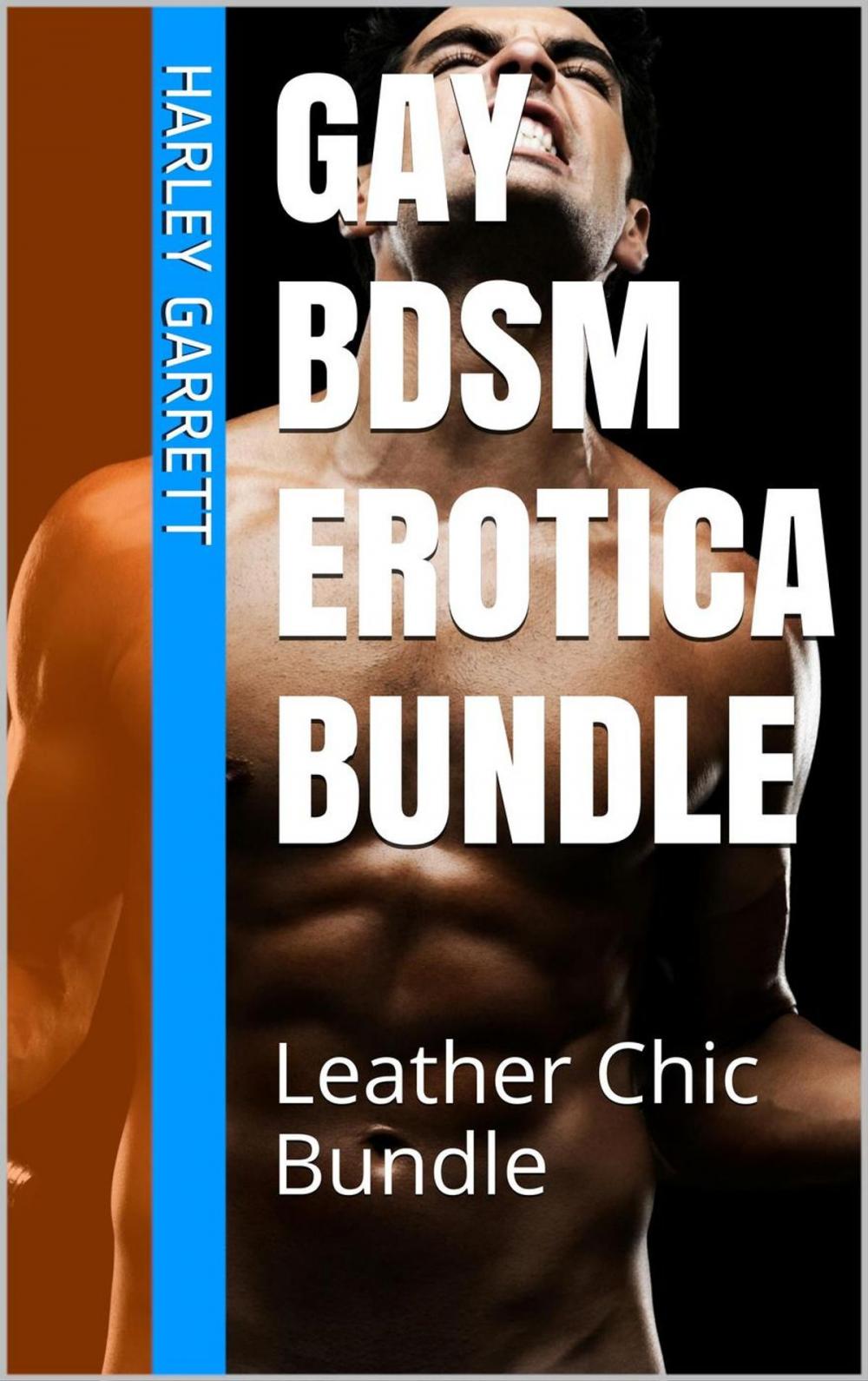 Big bigCover of Gay BDSM Erotica Bundle