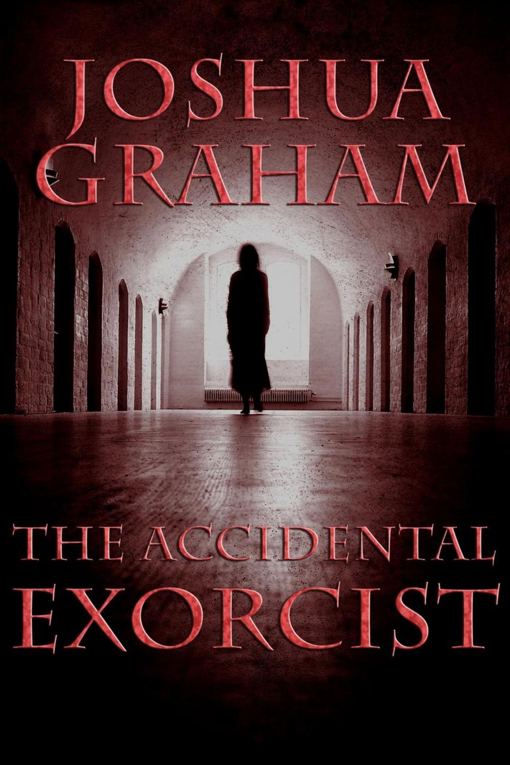 Big bigCover of The Accidental Exorcist