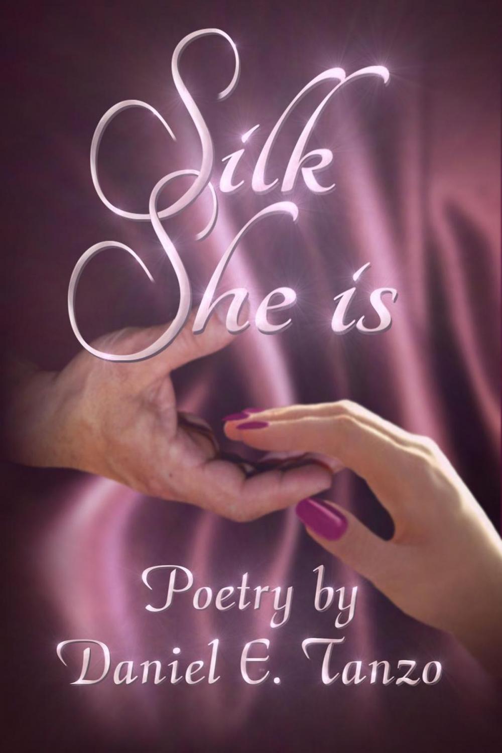 Big bigCover of Silk She Is: Poetry by Daniel E. Tanzo