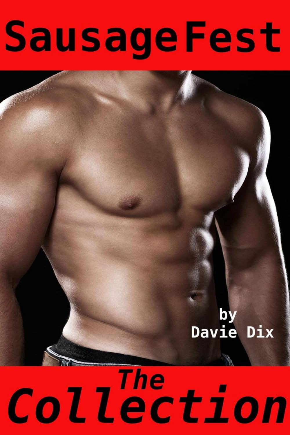 Big bigCover of Sausage Fest, The Collection (Gay Erotica)