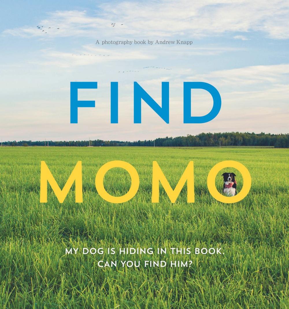 Big bigCover of Find Momo