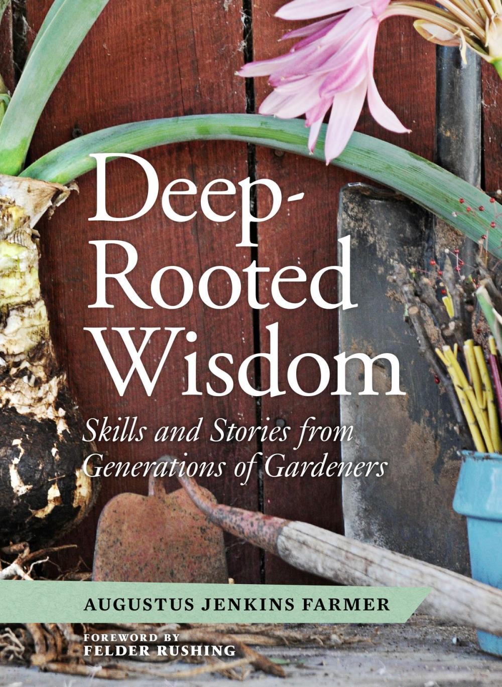 Big bigCover of Deep-Rooted Wisdom