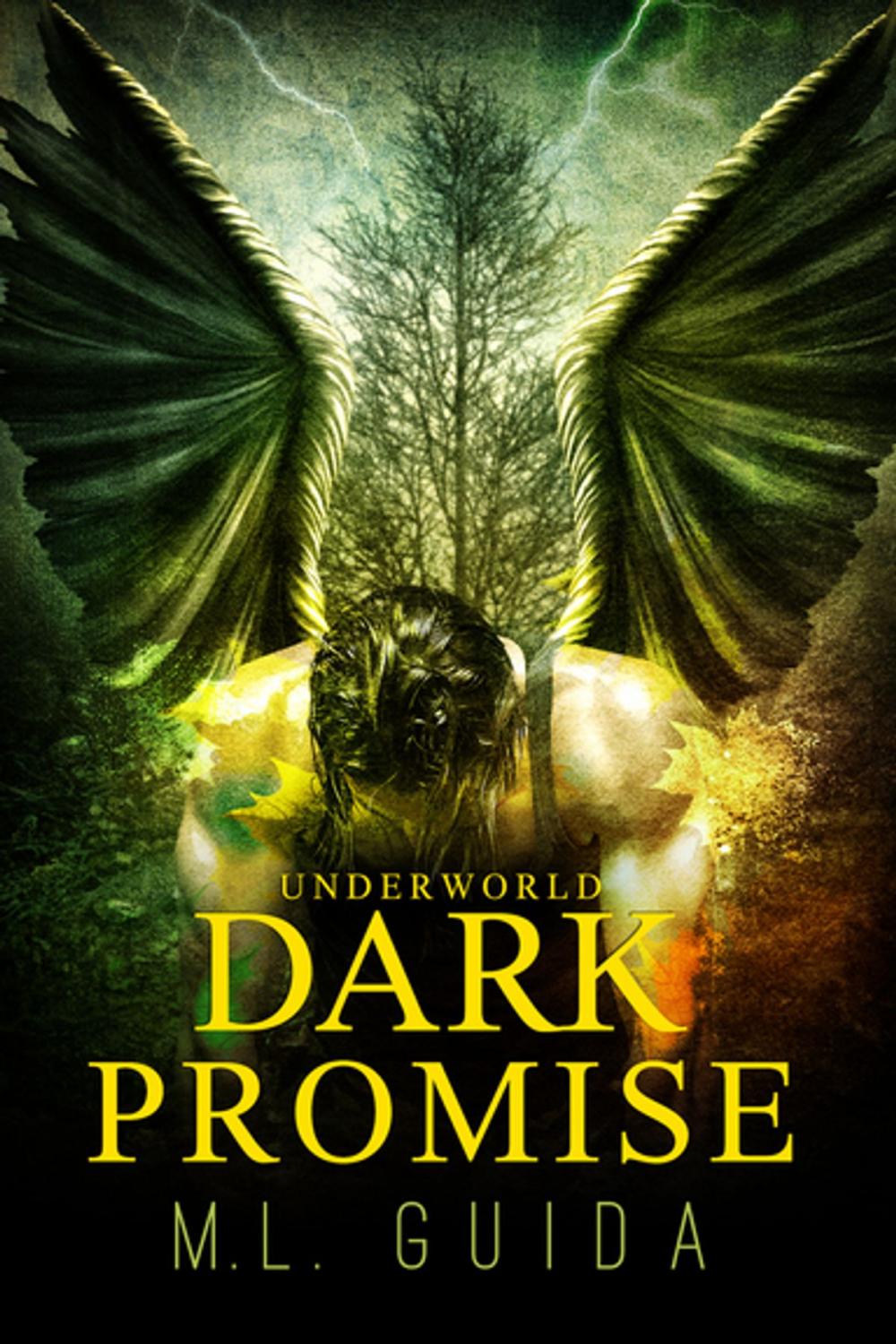 Big bigCover of Dark Promise