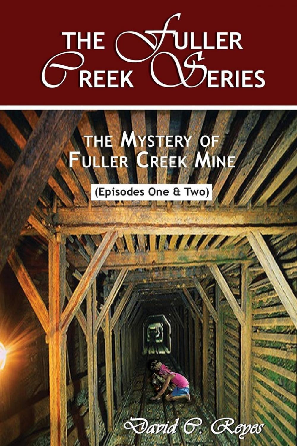 Big bigCover of The Fuller Creek Series