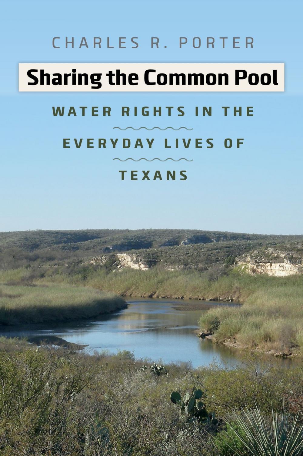 Big bigCover of Sharing the Common Pool