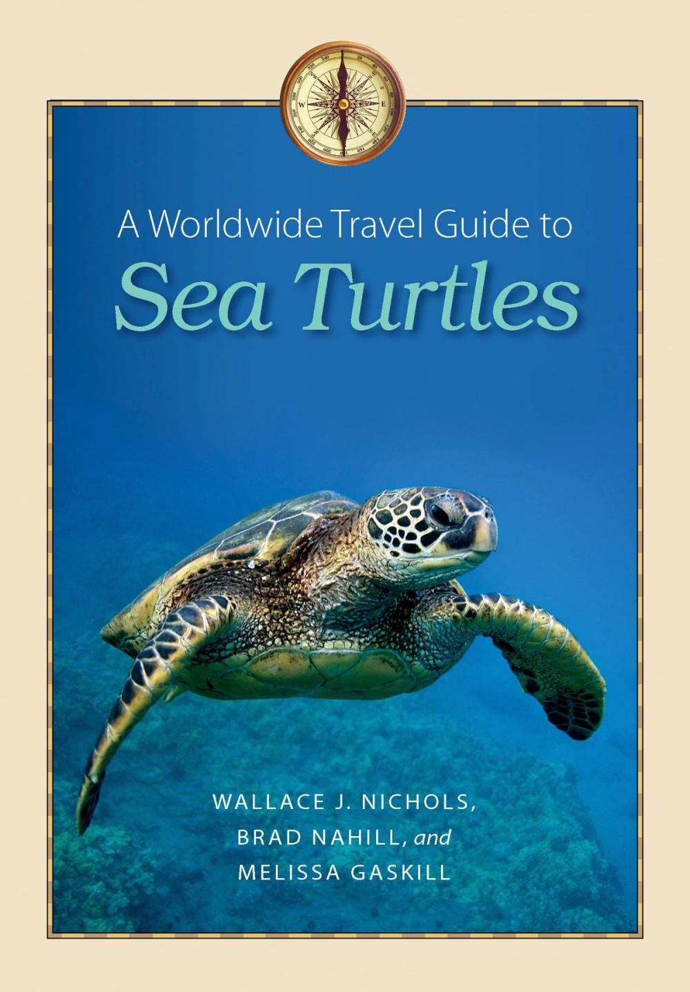 Big bigCover of A Worldwide Travel Guide to Sea Turtles