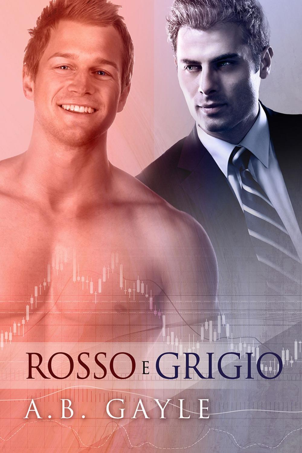 Big bigCover of Rosso e Grigio