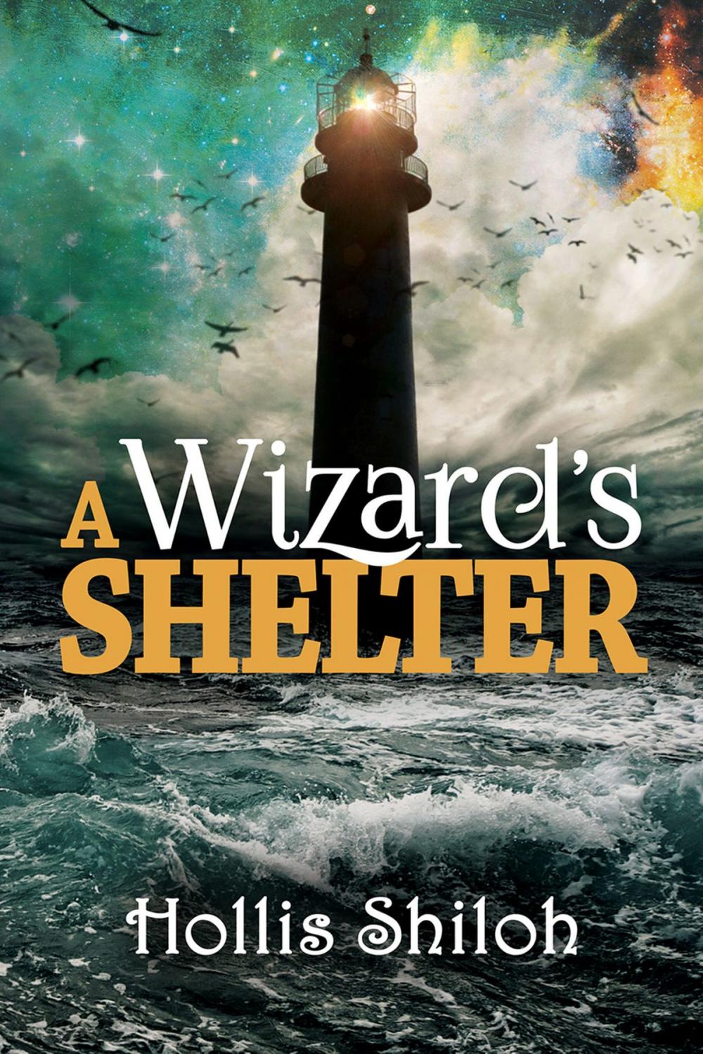 Big bigCover of A Wizard's Shelter