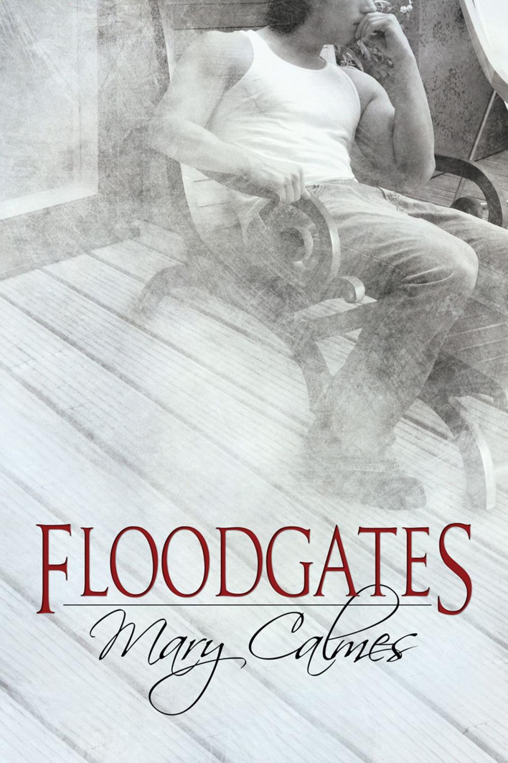 Big bigCover of Floodgates