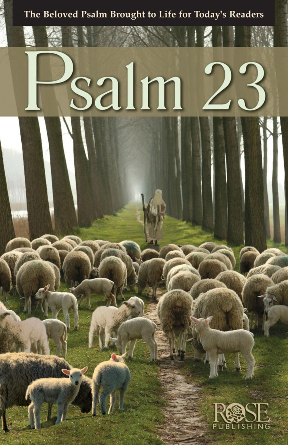 Big bigCover of Psalm 23