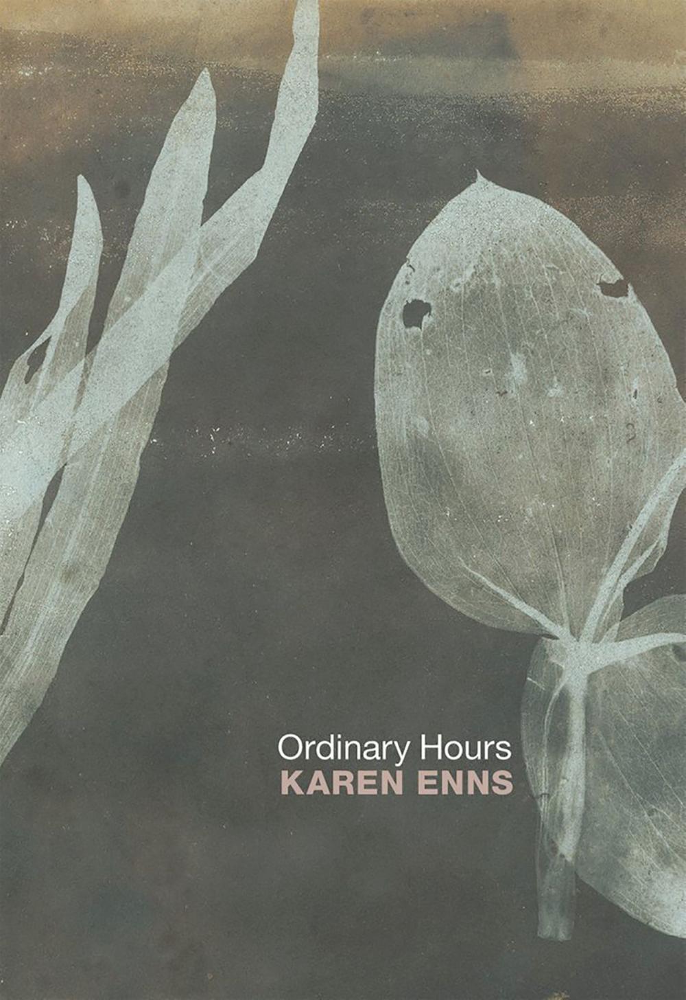 Big bigCover of Ordinary Hours