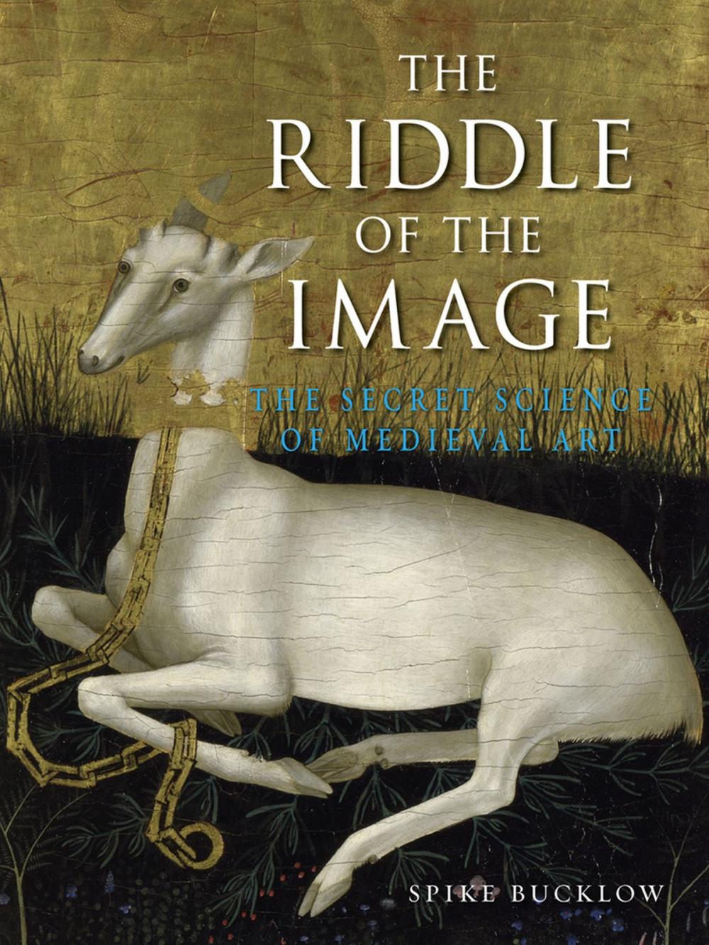 Big bigCover of The Riddle of the Image