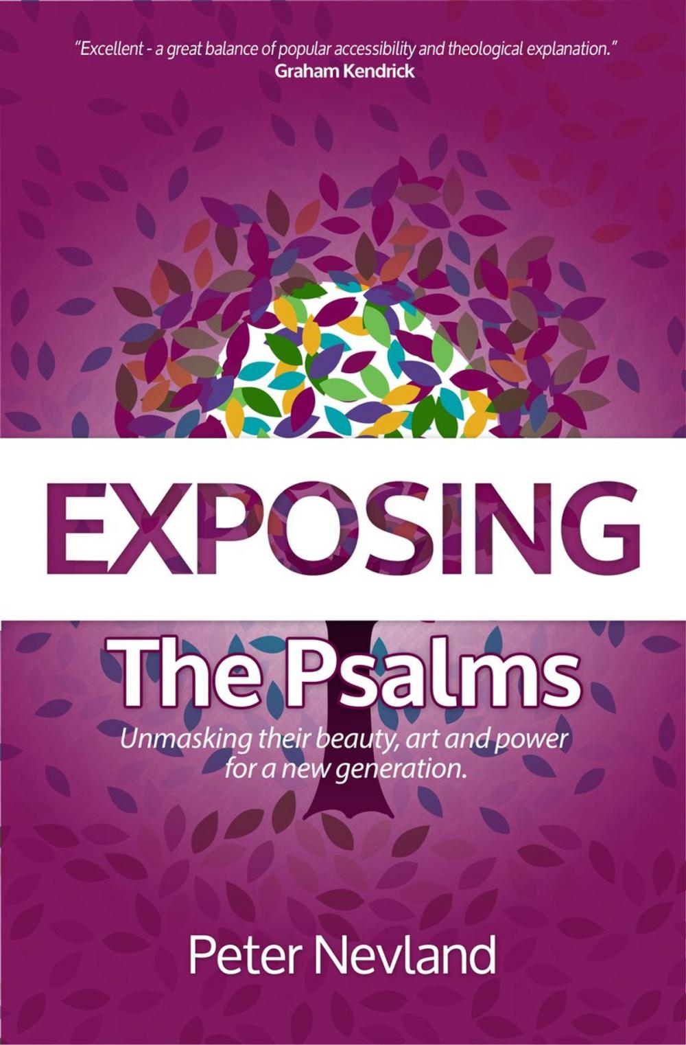 Big bigCover of Exposing the Psalms