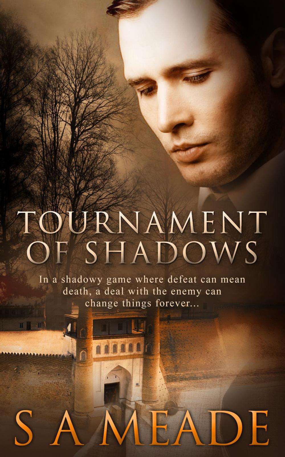 Big bigCover of Tournament of Shadows