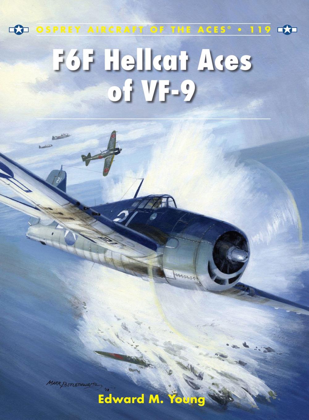 Big bigCover of F6F Hellcat Aces of VF-9