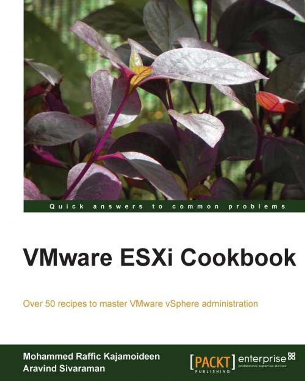 Big bigCover of VMware ESXi Cookbook