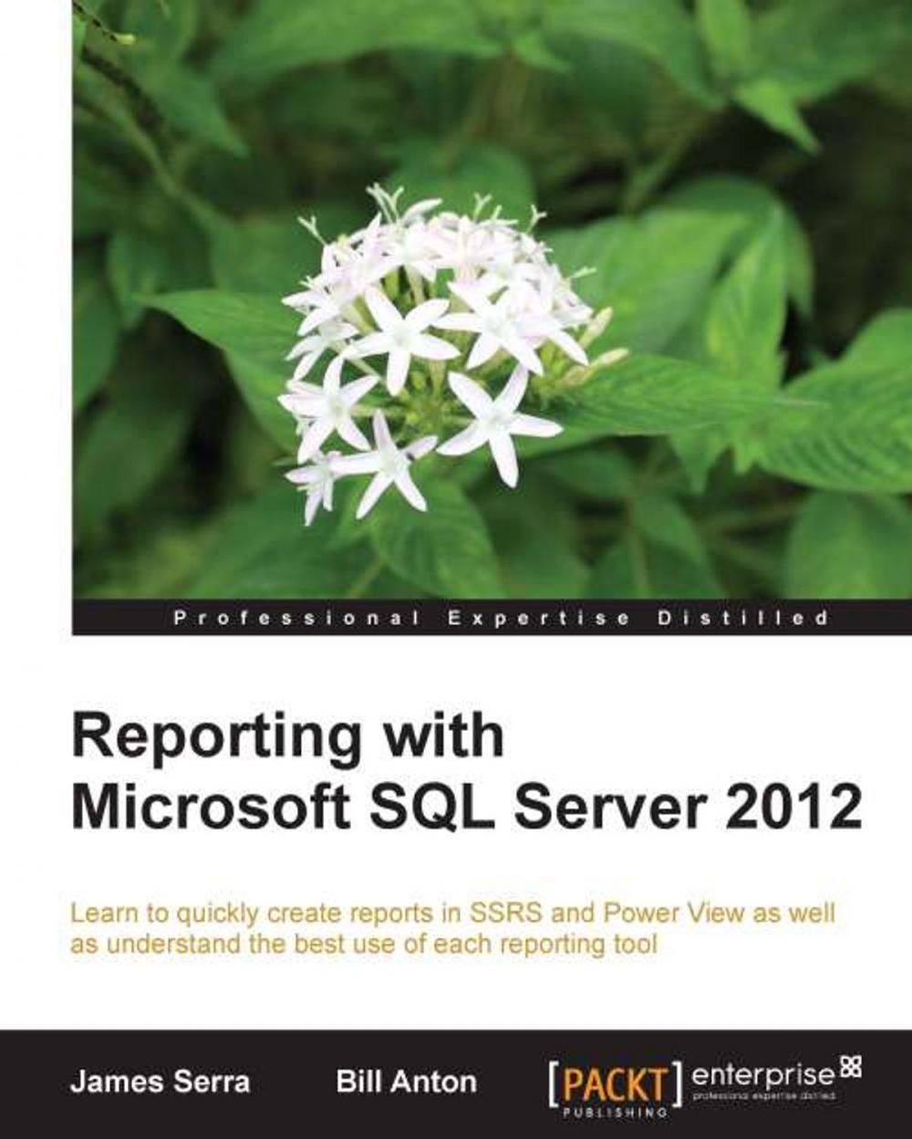 Big bigCover of Reporting with Microsoft SQL Server 2012